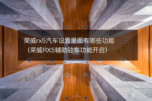 荣威rx5汽车设置里面有哪些功能（荣威RX5辅助驻车功能开启）