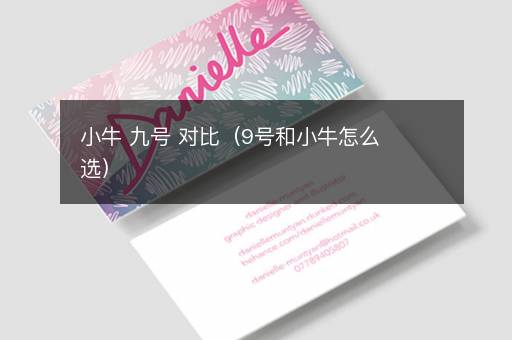 小牛 九号 对比（9号和小牛怎么选）