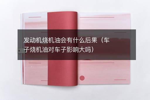 发动机烧机油会有什么后果（车子烧机油对车子影响大吗）
