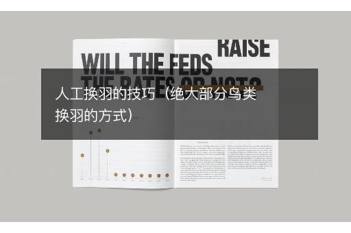 人工换羽的技巧（绝大部分鸟类换羽的方式）